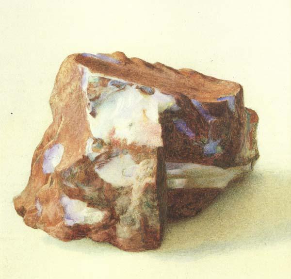  A Study of Opal in Ferrugineous jasper from New Guinea (mk46)